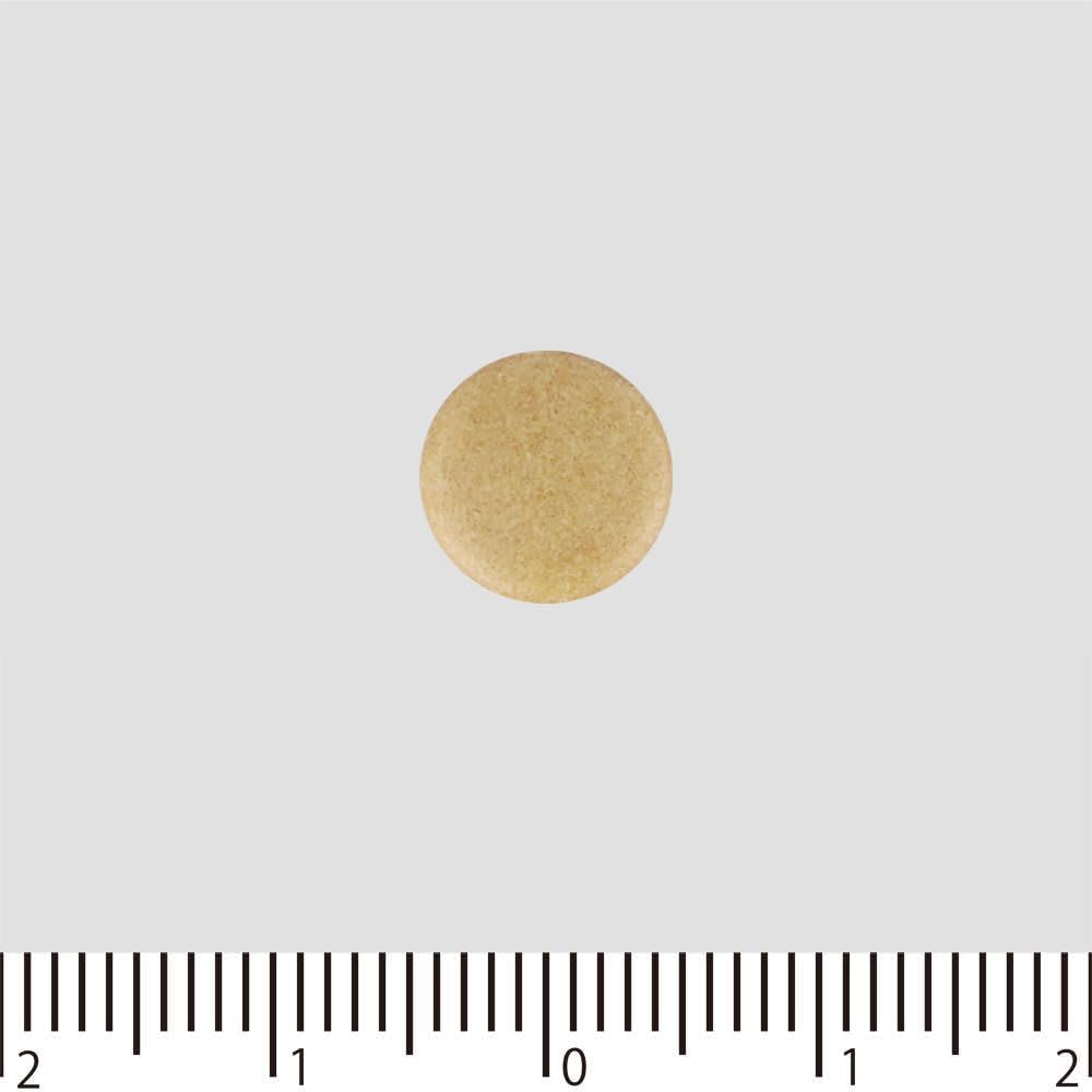 半夏瀉心湯エキスEX錠クラシエ 180錠