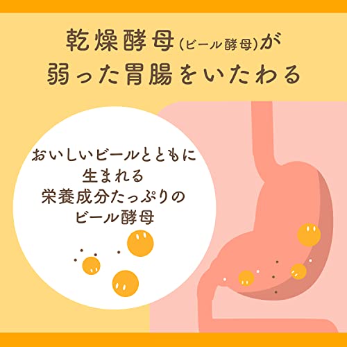 エビオス錠 1200錠 胃腸・栄養補給薬