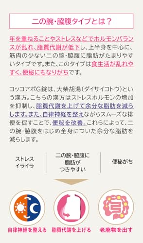 コッコアポG錠 312錠