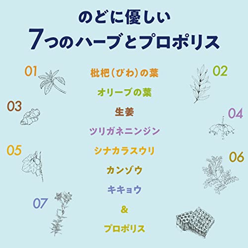 カンロ ボイスケアのど飴 70g