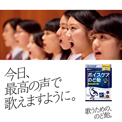 カンロ ボイスケアのど飴 70g