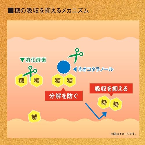Naishi Help Black Ginger Supplement, Fat Burning [α 90 Tablets (About 30 Day Supply)/For Those Who Are Worried About BMI!