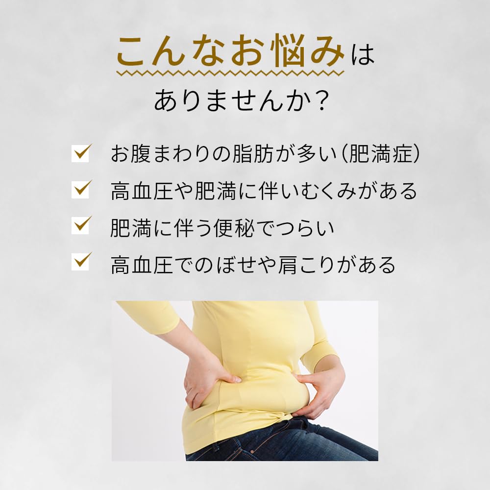 新・ロート防風通聖散錠T 112錠