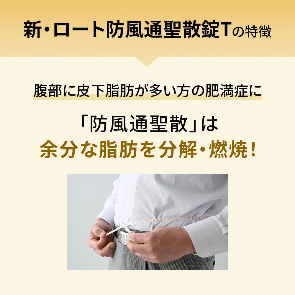 新・ロート防風通聖散錠T 112錠