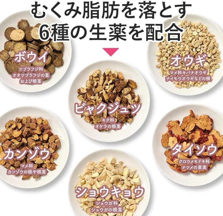 生漢煎 防已黄耆湯錠SX 180錠入(15日分) 漢方 むくみ 水太り 肥満症 多汗症 下半身太り 関節痛 効果 利尿 錠剤