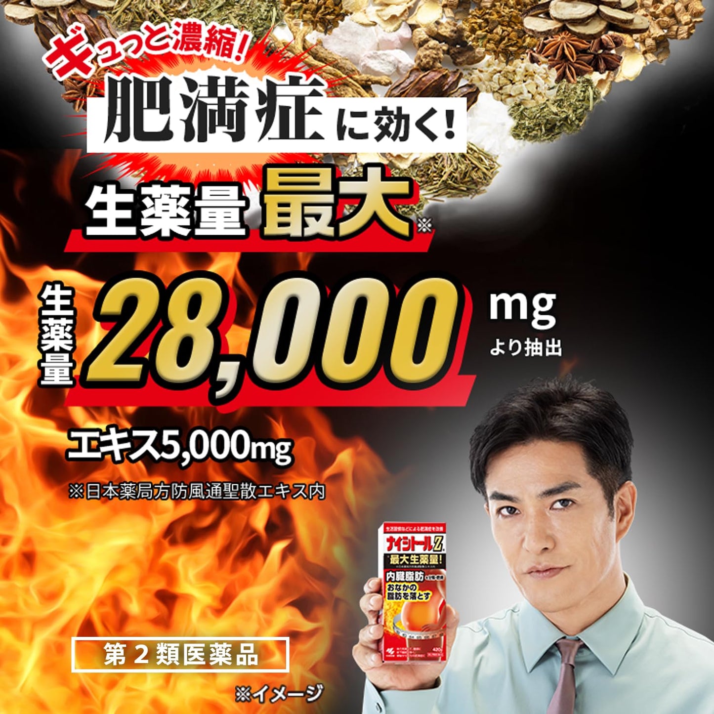 ナイシトールZa 420錠