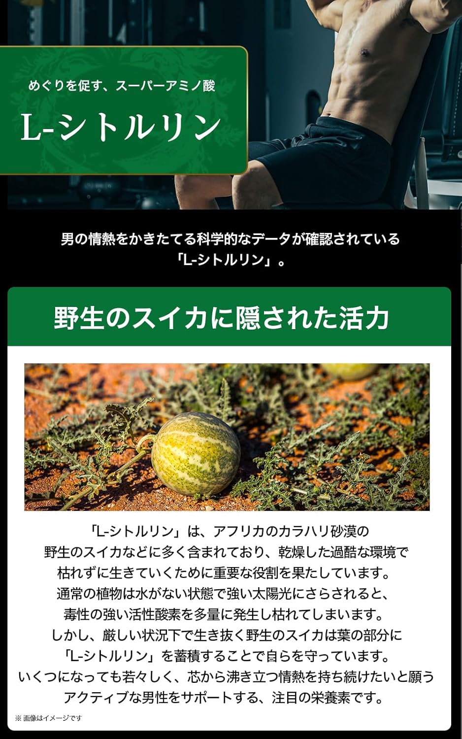 サントリー グラン マカ 男性 活力 L-シトルリン 亜鉛 ポリアミン サプリメント サプリ 120粒入/約30日分