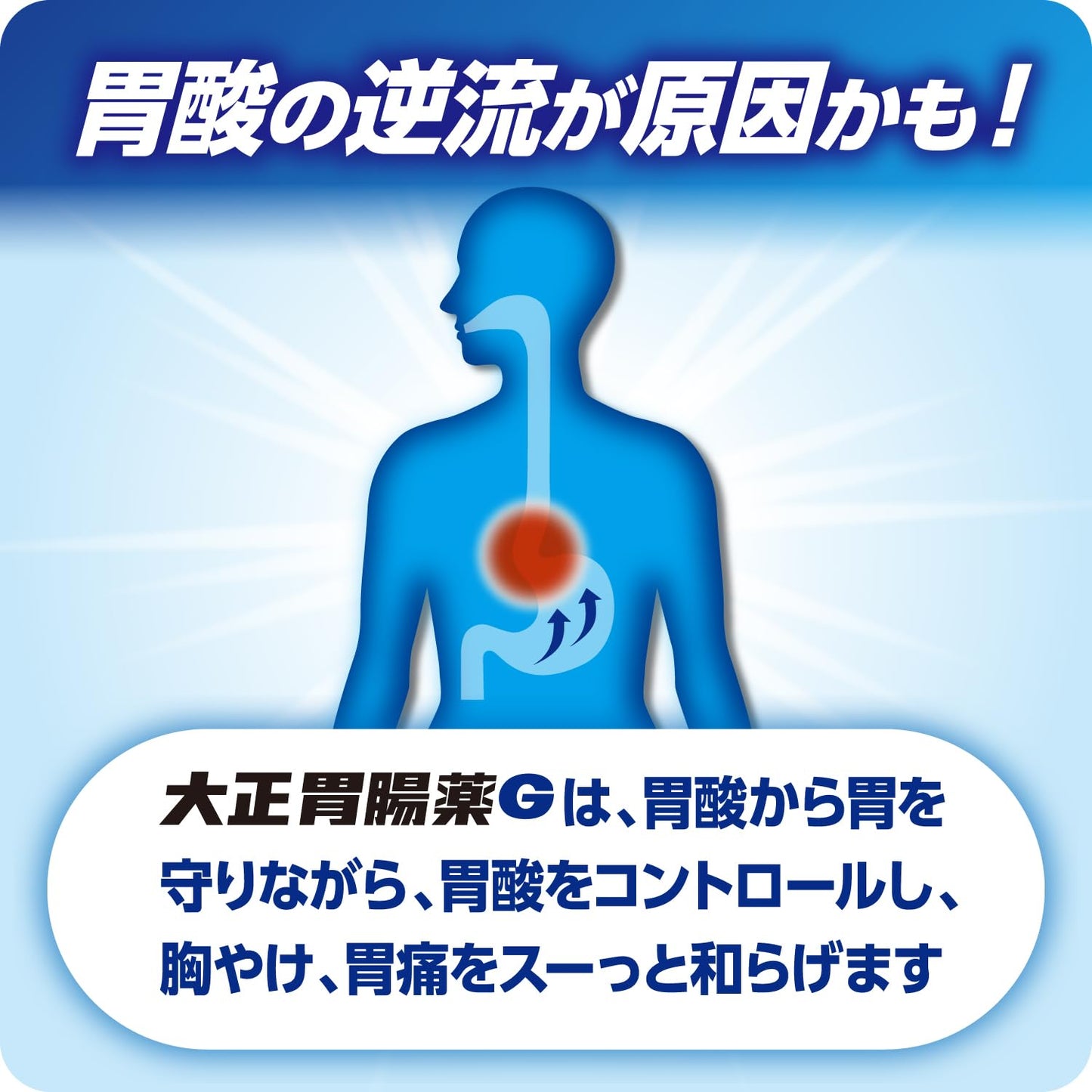 大正胃腸薬G 30包