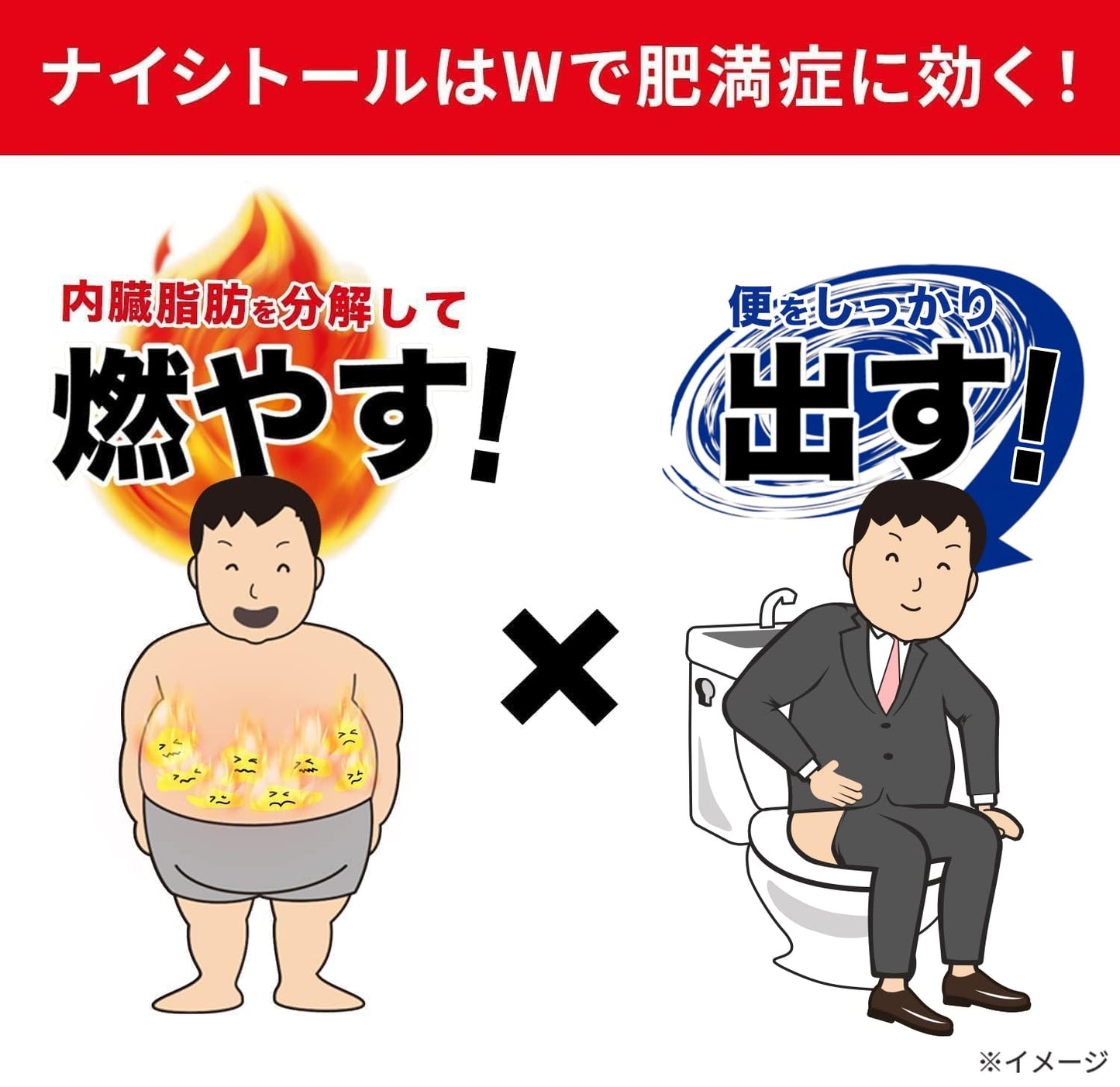 ナイシトールZa 420錠