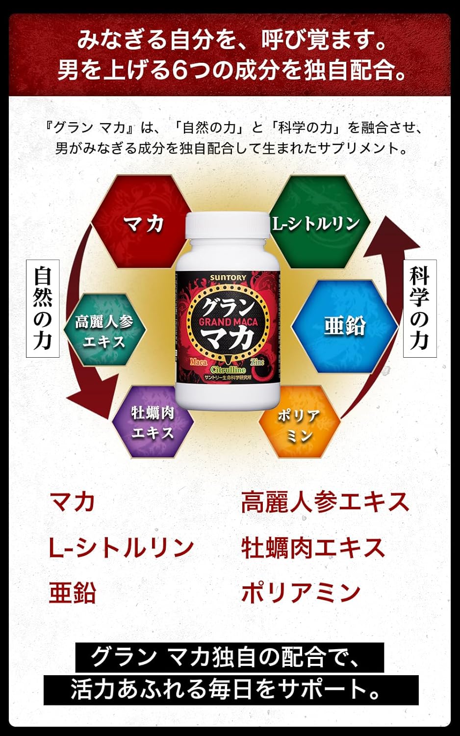 サントリー グラン マカ 男性 活力 L-シトルリン 亜鉛 ポリアミン サプリメント サプリ 120粒入/約30日分