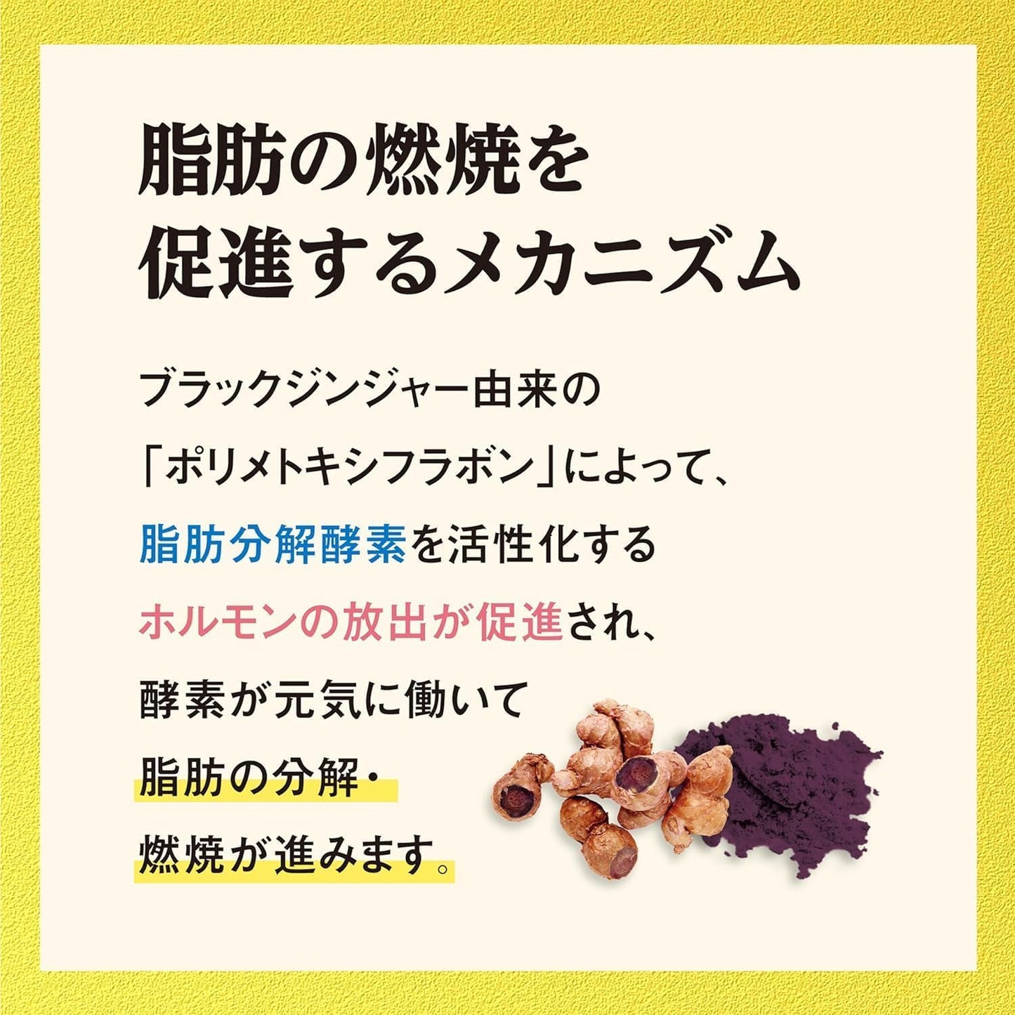 Naishi Help Black Ginger Supplement, Fat Burning [α 90 Tablets (About 30 Day Supply)/For Those Who Are Worried About BMI!