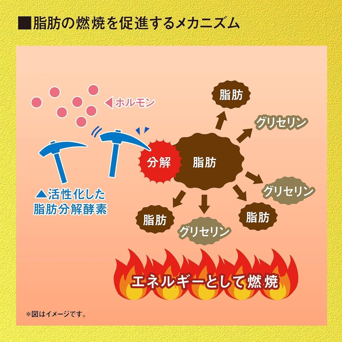 Naishi Help Black Ginger Supplement, Fat Burning [α 90 Tablets (About 30 Day Supply)/For Those Who Are Worried About BMI!