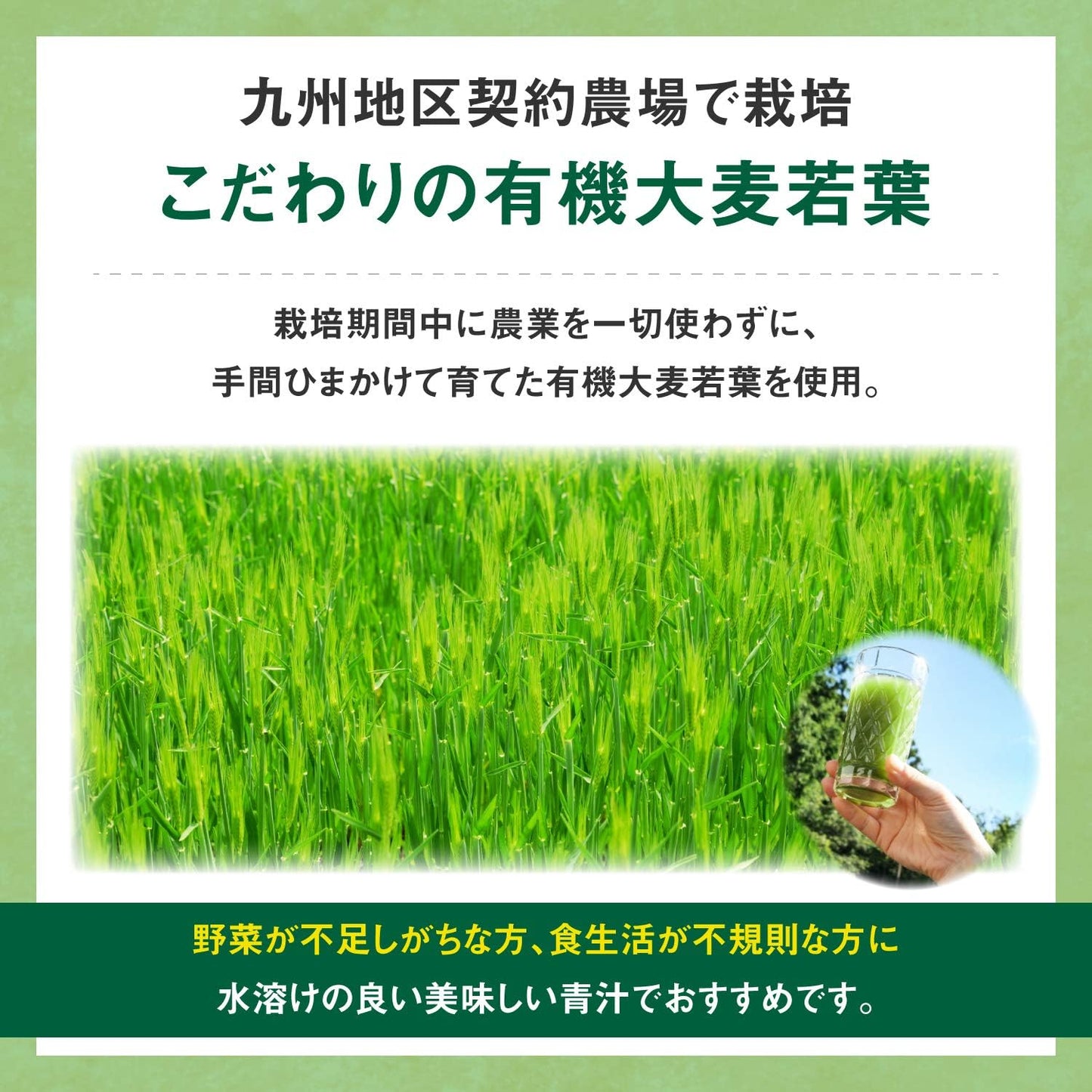 リビタ大麦若葉青汁(3g×30袋入)