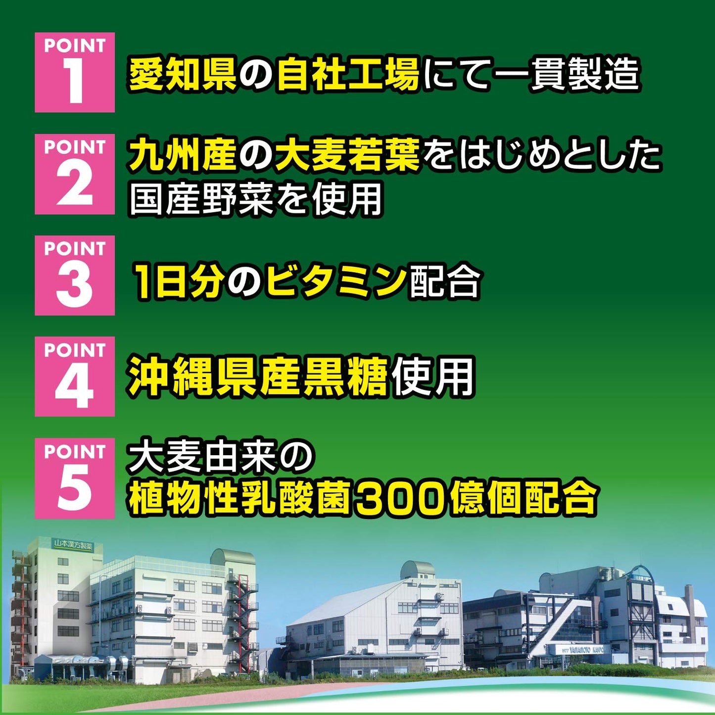 Yamamoto Kampo Pharmaceutical Green Juice 30 types of domestic vegetables + superfood 3g x 30 packets / 3g x 64 packets