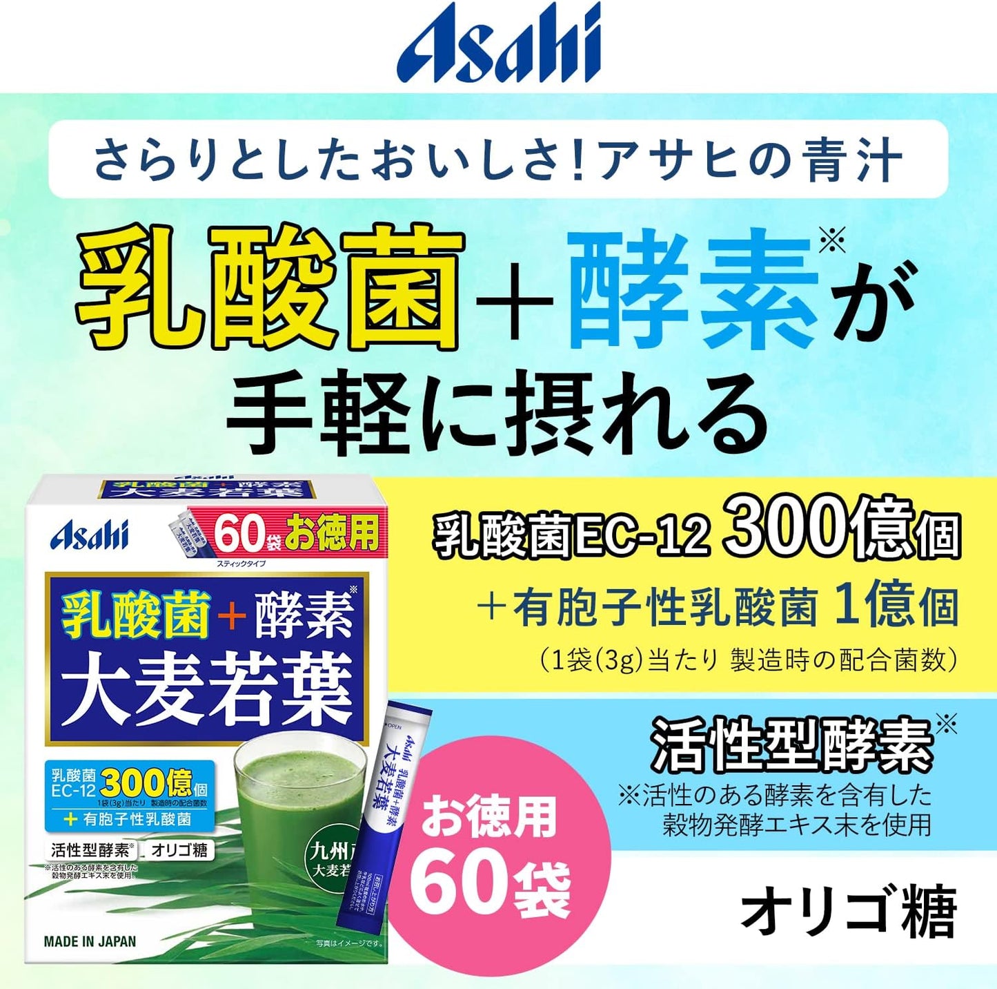 青汁 乳酸菌+酵素 大麦若葉 粉末 60袋 乳酸菌EC-12+有胞子性乳酸菌 活性型酵素 オリゴ糖配合