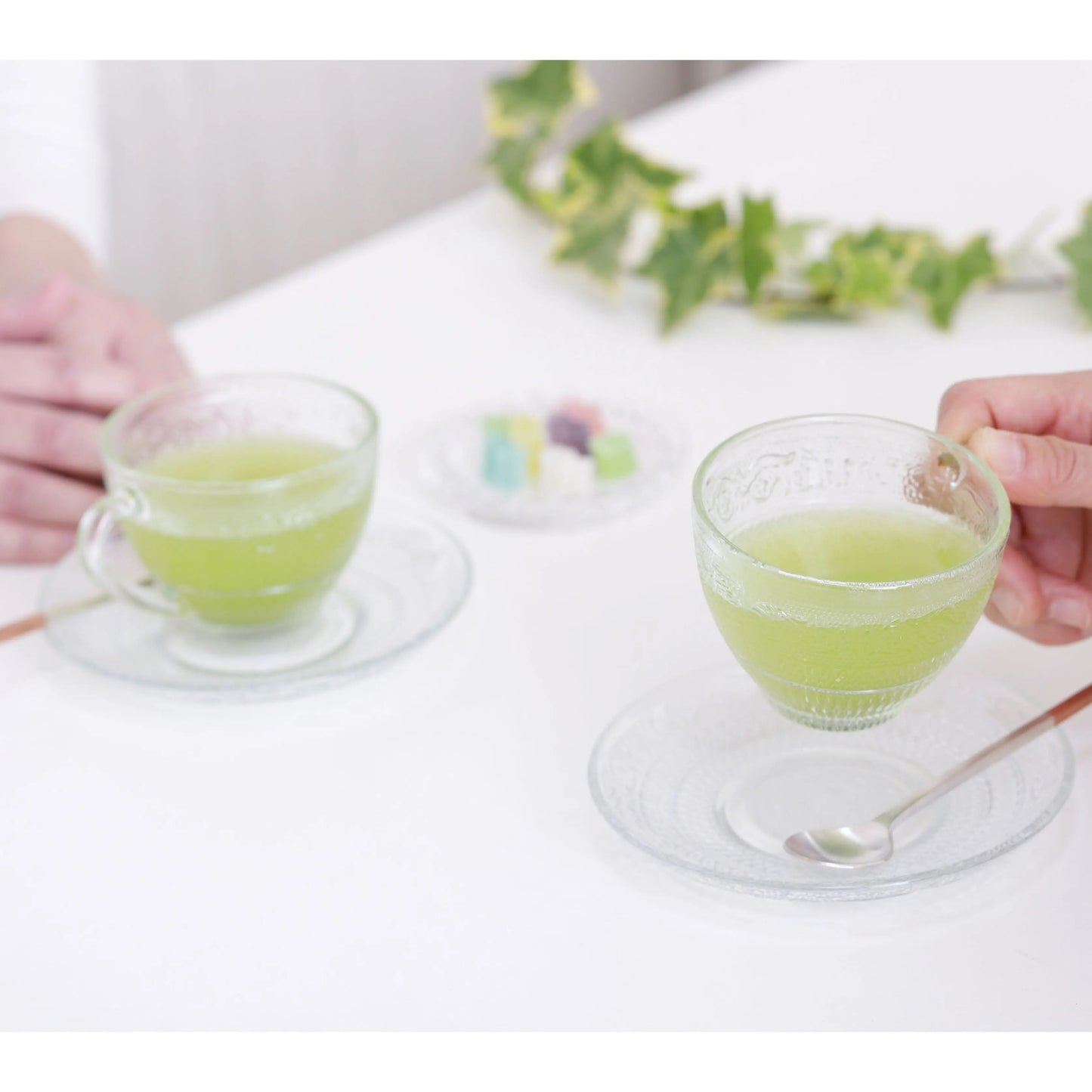 pesticide-free-greentea-lemongrass-kampostation