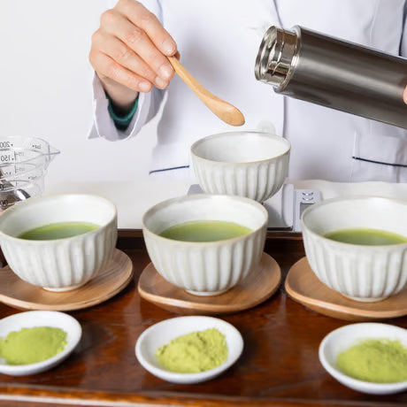 おまもり大和茶 30包入(緑茶粉末スティック)