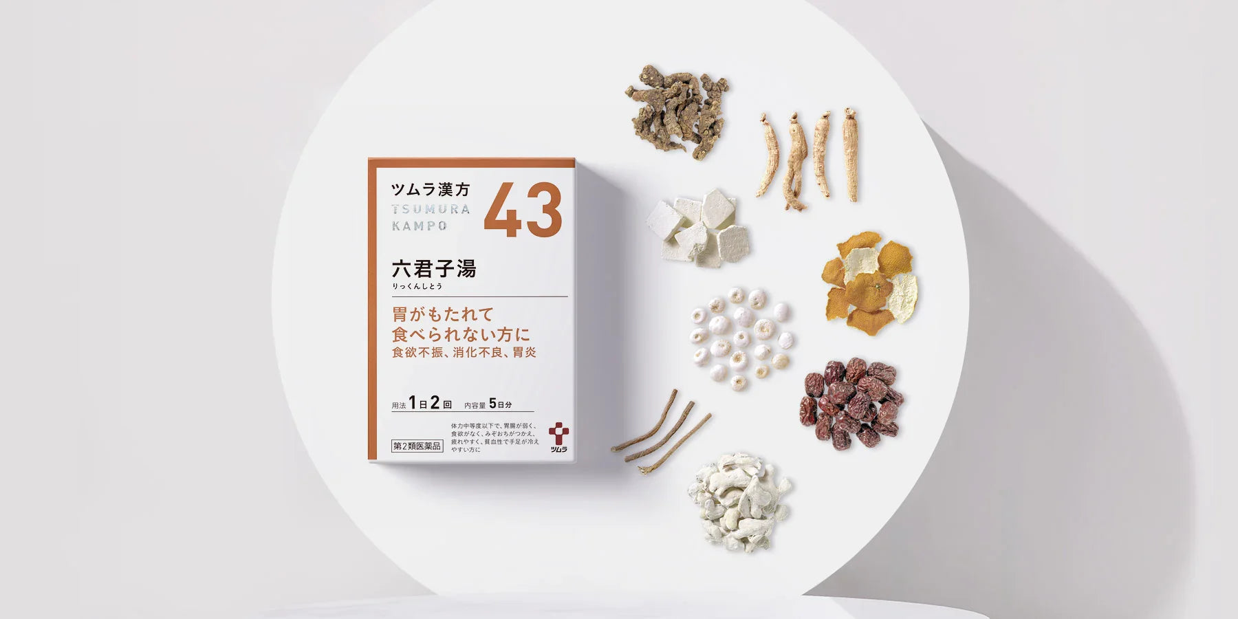 六君子湯（りっくんしとう）とは？胃腸を立て直す“気”と“消化力”の漢方