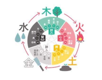 🌿 気虚・血虚・陰虚・陽虚 ― 東洋医学「4大体質」完全マップ ―