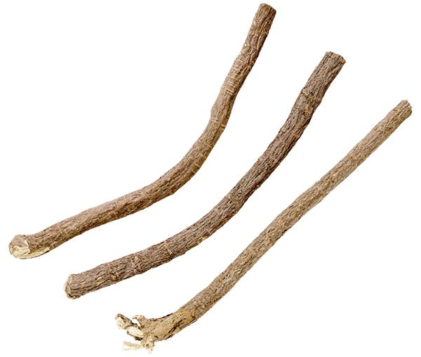 🌿 漢方の調和役 ― 甘草（かんぞう）の本当の役割