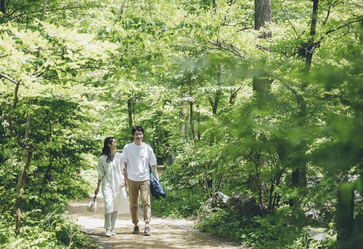 🌿 ✅ 実は「うつになりにくい人」の生活習慣 TOP7  — 漢方的メンタル予防学 —