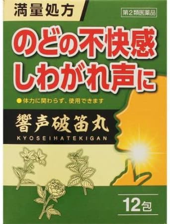 響声破笛丸エキス顆粒G 12包