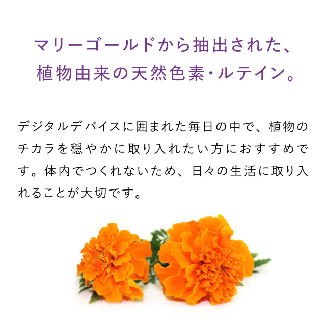 ルテイン100&杞菊 90粒