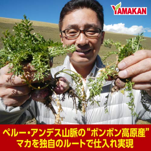 山本漢方製薬 無添加 マカ粒100% 活力増強 大容量 360粒 90日分