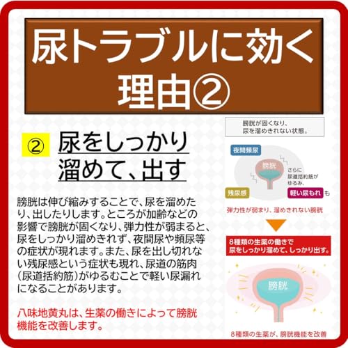 「クラシエ」漢方八味地黄丸料エキス錠 540錠
