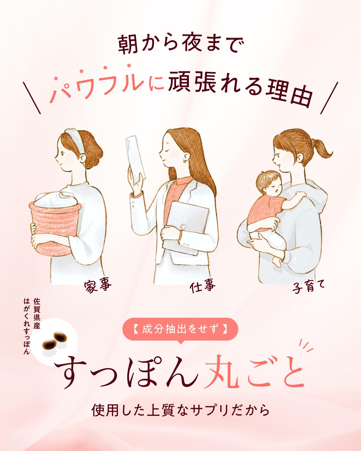 【管理栄養士お墨付き】すっぽん小町 サプリメント 国産すっぽん サプリ 女性 必須アミノ酸 20種類 ビタミンB1 ビタミンB2 鉄分 コラーゲン 亜鉛 DHA EPA 1ヶ月分 62粒 人工防腐剤不使用 頑張る女性に 忙しい毎日に 1袋