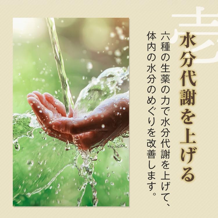 生漢煎 防已黄耆湯顆粒 満量処方 (90包 30日分 ）漢方