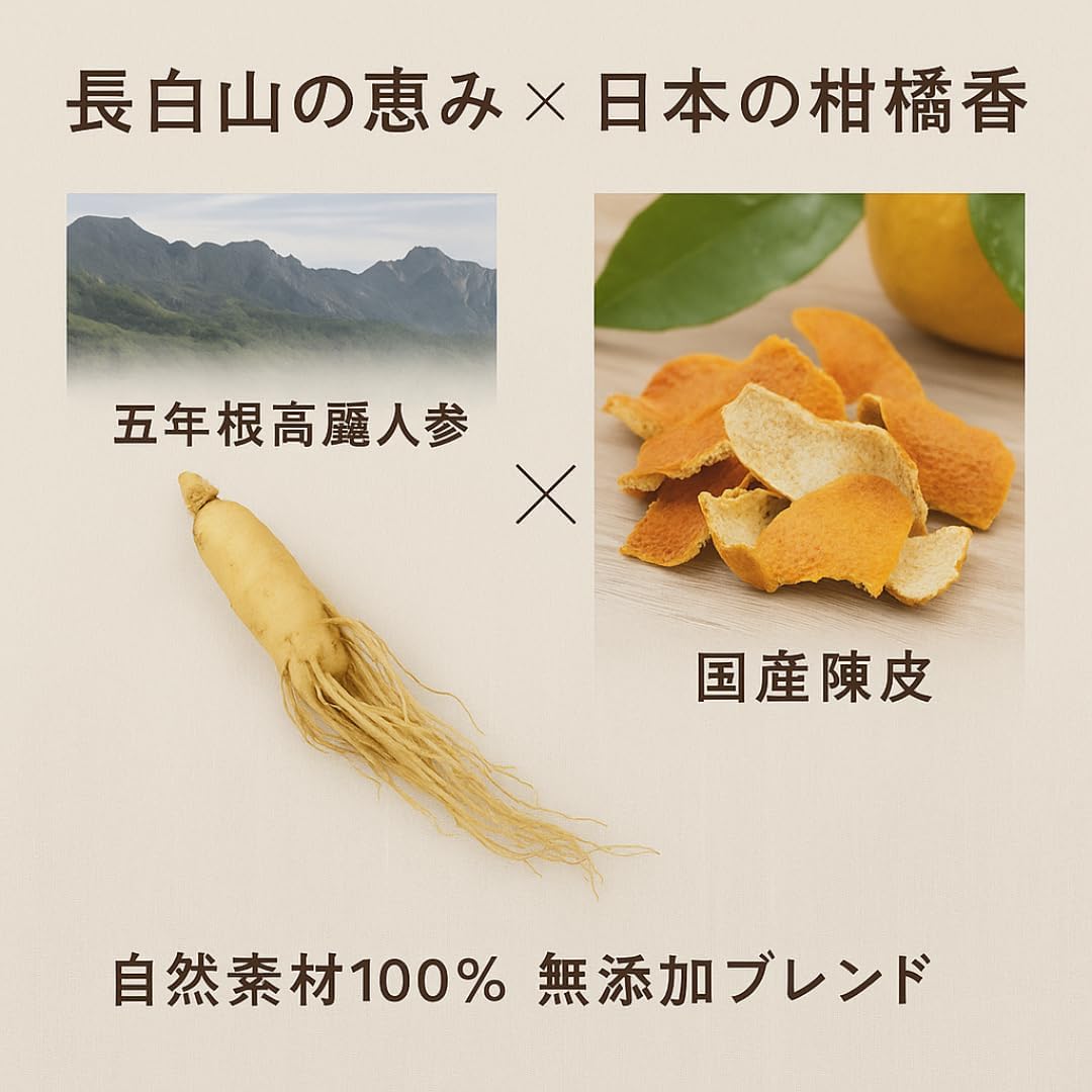 (Additive-Free, Domestic Blend) Gloriin Ginseng Tea Bags, 5 Packets, 5 Years Old Ginseng x Domestically Made Shells, Chinese Blend Tea, Caffeine-free Healthy Tea