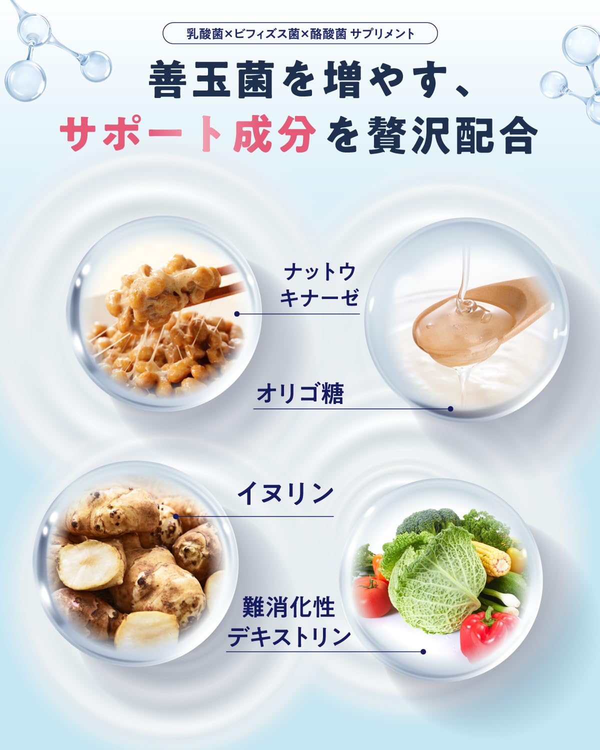 Living Lactobacillus Butyric Acid Bacteria Luxury Formulation, Bifidobacteria, Butyric Acid Supplement, 4.5 Trillion Pieces, 30 Day Supply, Made in Japan, Bacterial Activity, Oligosaccharide, Inulin