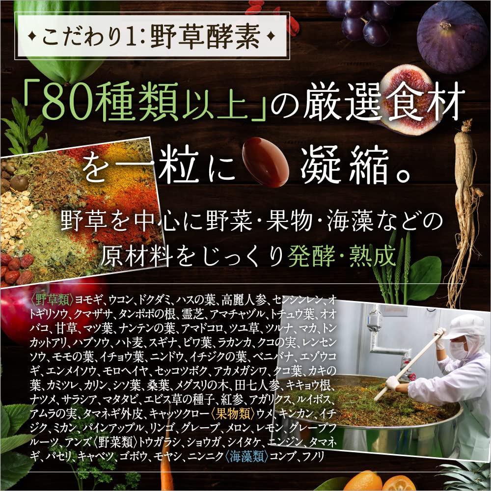 うるおい生酵素 サプリ カプセル コラーゲン ヒアルロン酸 コンブチャ 乳酸菌 酵素80種 31日分