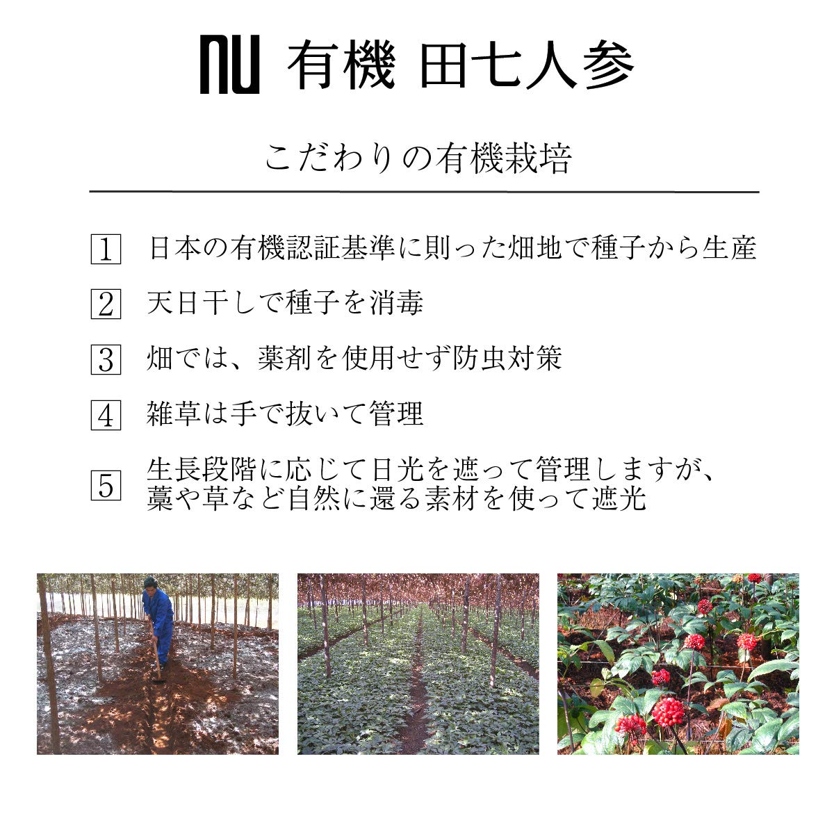 薬日本堂 nu 有機 田七人参  純度100% 漢方 有機JAS認証 無添加 サプリメント ニホンドウ