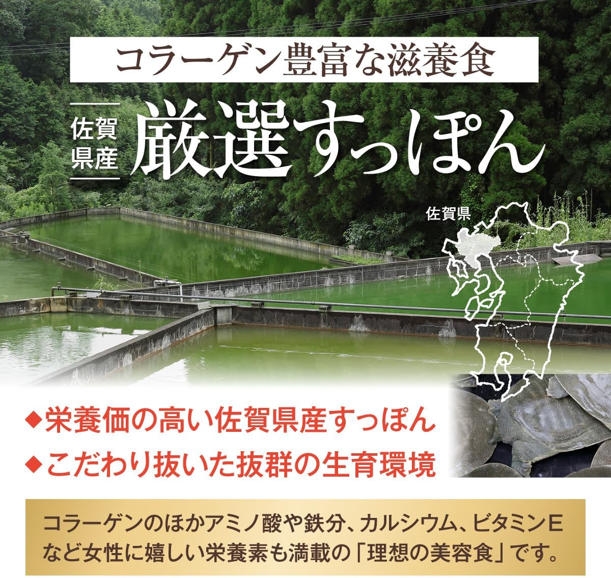 Mori no Supon Black Vinegar Supplement, 62 Tablets per Bag