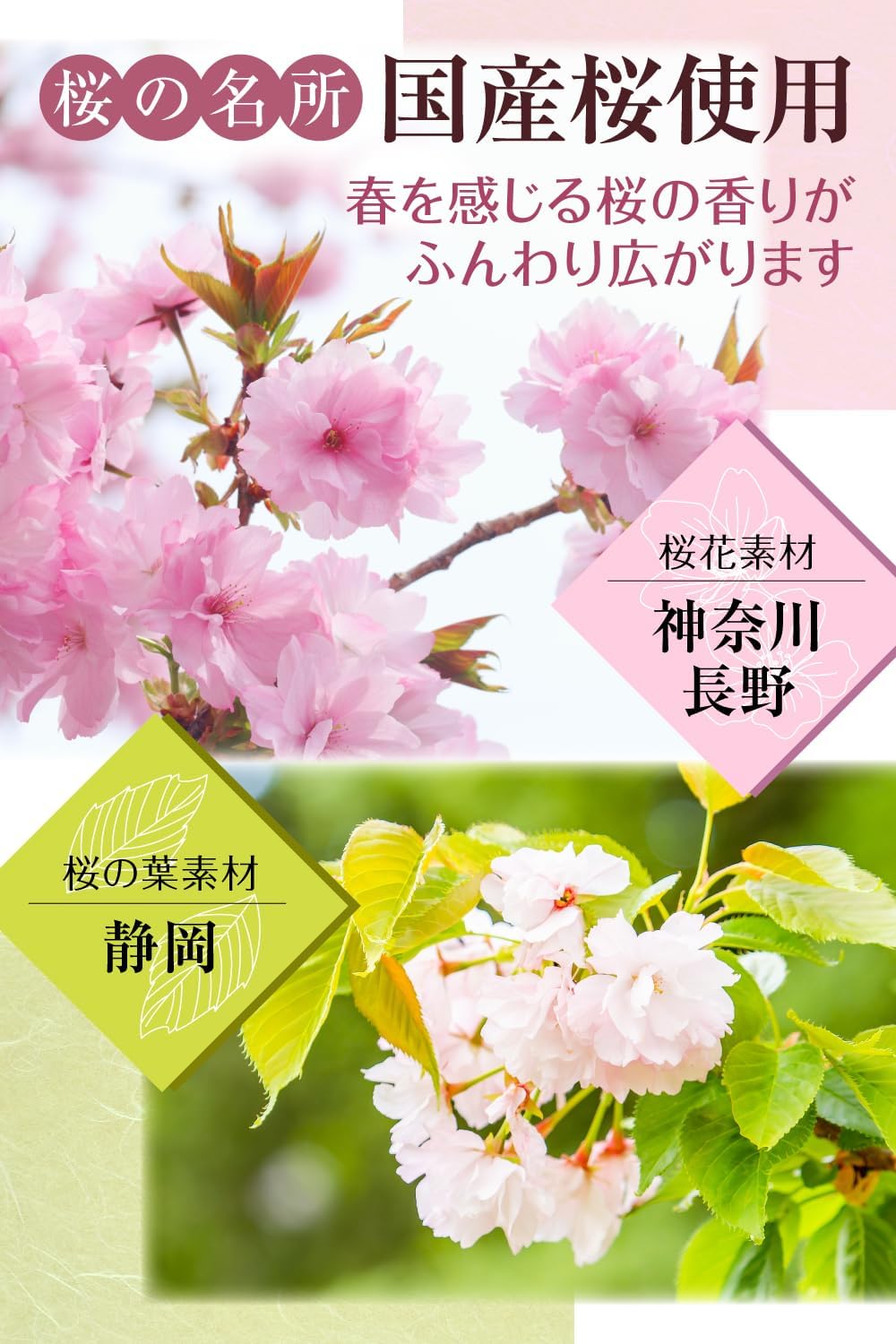 桜ラテ 粉末 国産 桜 100g 牛乳不要 お湯を注ぐだけで本格ラテ ほどよい甘さ [悩まない桜ラテ作り方付き] 神奈川 長野 八重桜使用 桜茶
