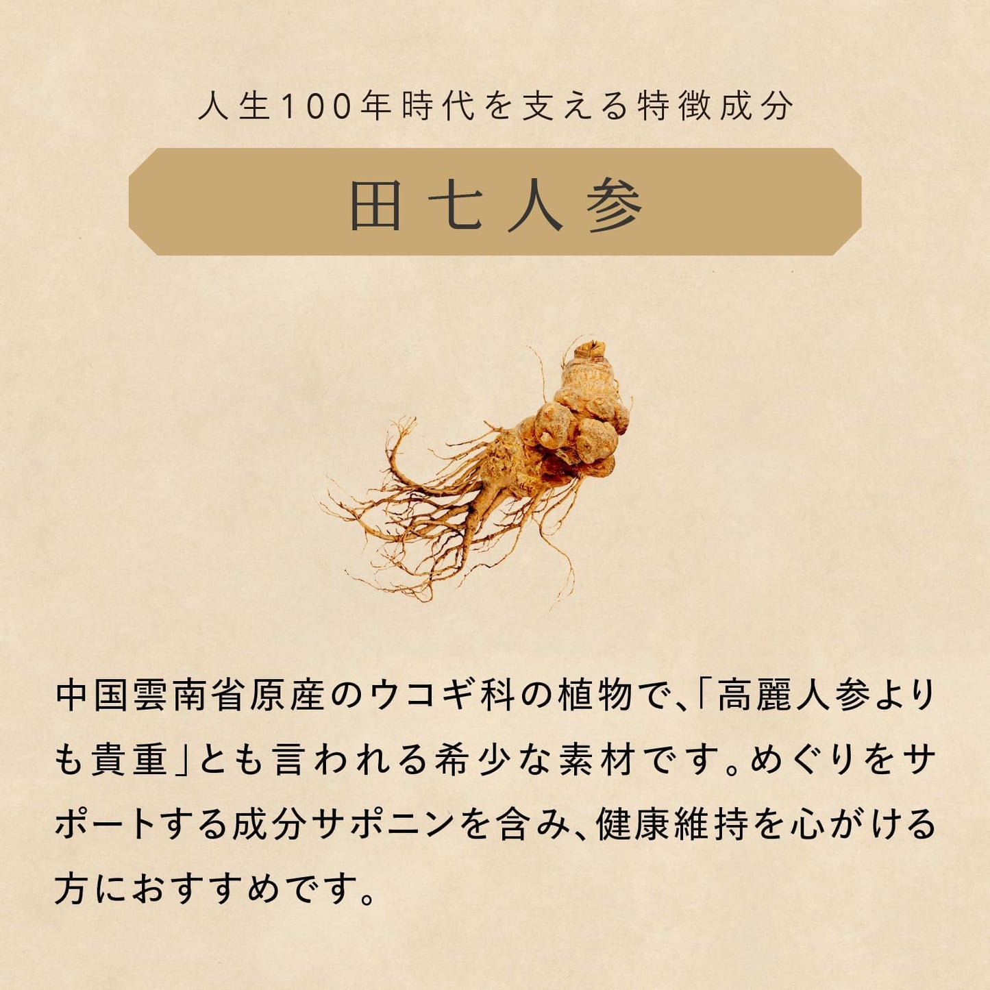 薬日本堂 霊芝 ドリンク 30包 和漢 国産素材 黒蜜風味 個包装 飲みきり ギフト 田七人参 タモギ茸 ニクジュヨウ