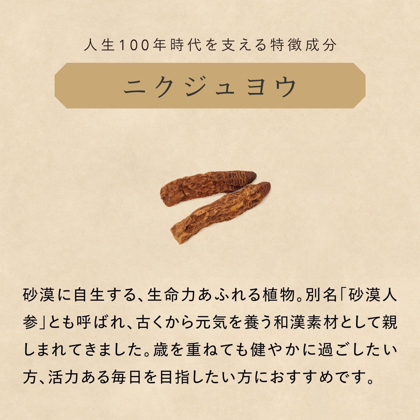 薬日本堂 霊芝 ドリンク 30包 和漢 国産素材 黒蜜風味 個包装 飲みきり ギフト 田七人参 タモギ茸 ニクジュヨウ