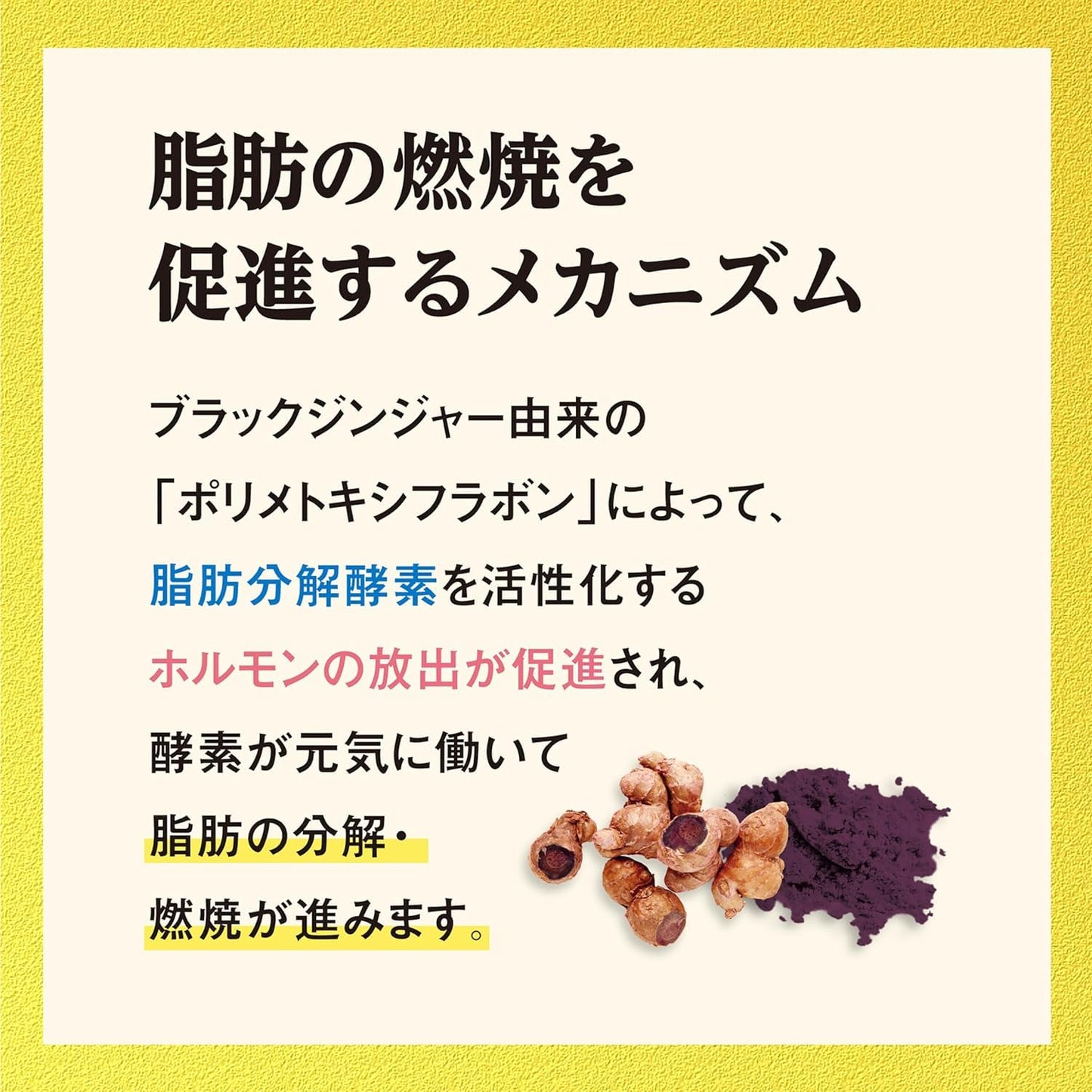 Naishi Help Black Ginger Supplement, Fat Burning [α 90 Tablets (About 30 Day Supply)/For Those Who Are Worried About BMI!