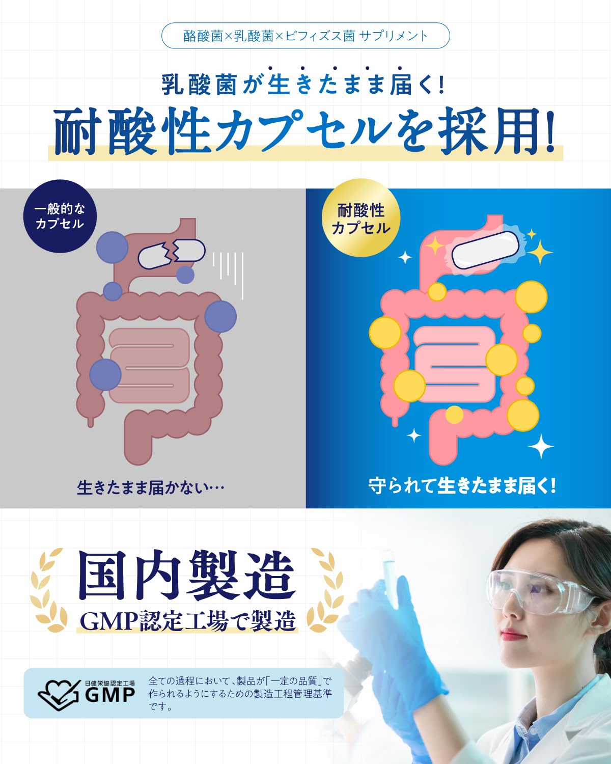 BIFIRAL Live Butyric Acid Bacteria Supplement, 3 billion Butyric Acid Bacteria, 3 Billion Bacteria, 30 Day Supply, Made in Japan, Bacterial Activity, Oligosaccharide, Inulin, Probiotics