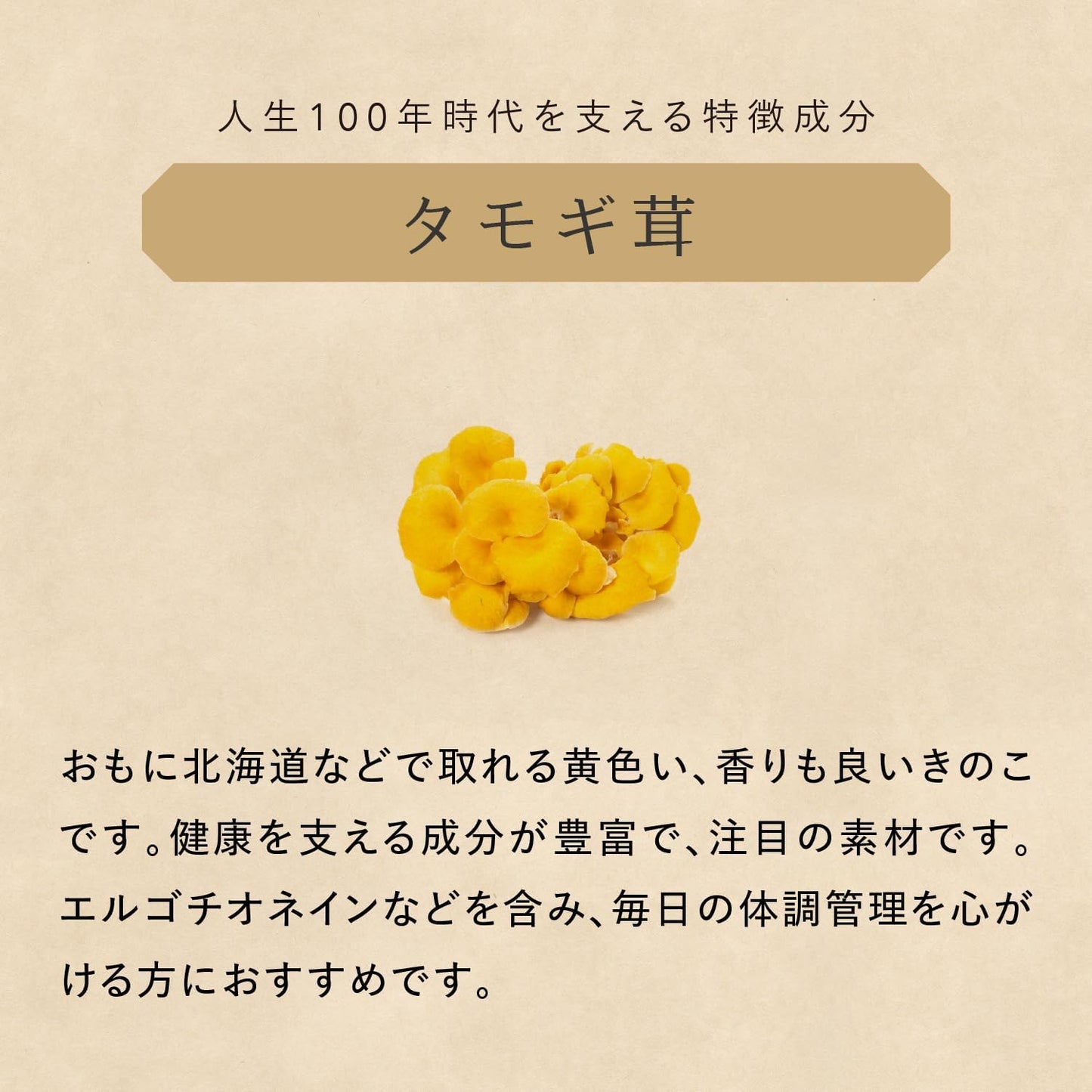薬日本堂 霊芝 ドリンク 30包 和漢 国産素材 黒蜜風味 個包装 飲みきり ギフト 田七人参 タモギ茸 ニクジュヨウ