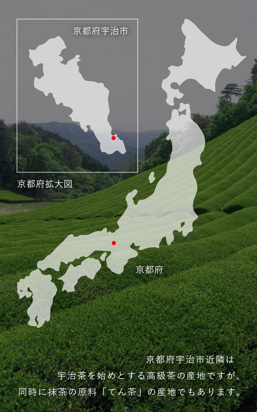 京都・宇治田原製茶場 宇治抹茶 京の華 50g matcha 缶入