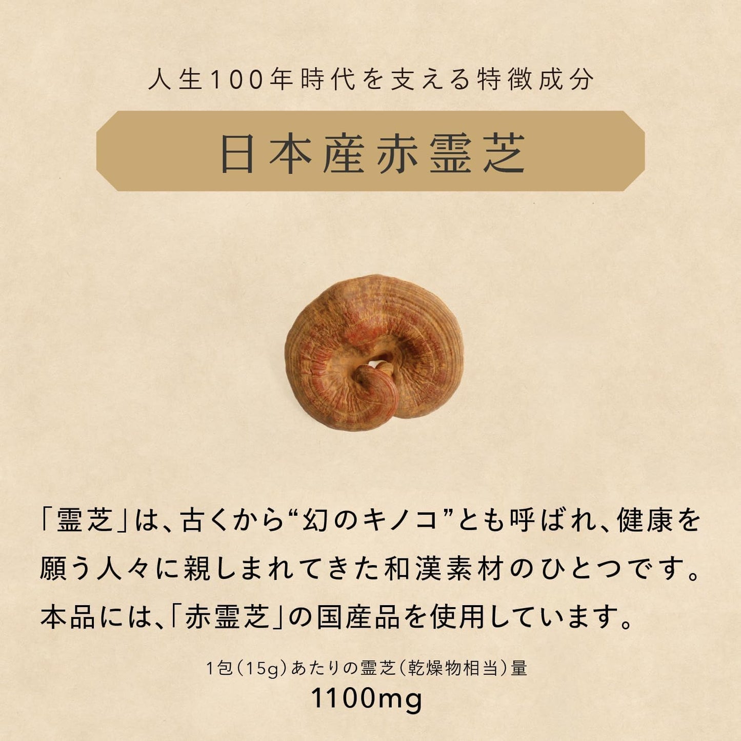 薬日本堂 霊芝 ドリンク 30包 和漢 国産素材 黒蜜風味 個包装 飲みきり ギフト 田七人参 タモギ茸 ニクジュヨウ