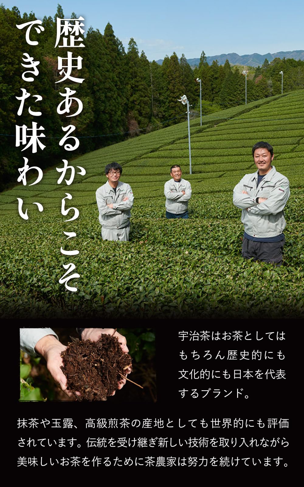 京都・宇治田原製茶場 宇治抹茶 京の華 50g matcha 缶入