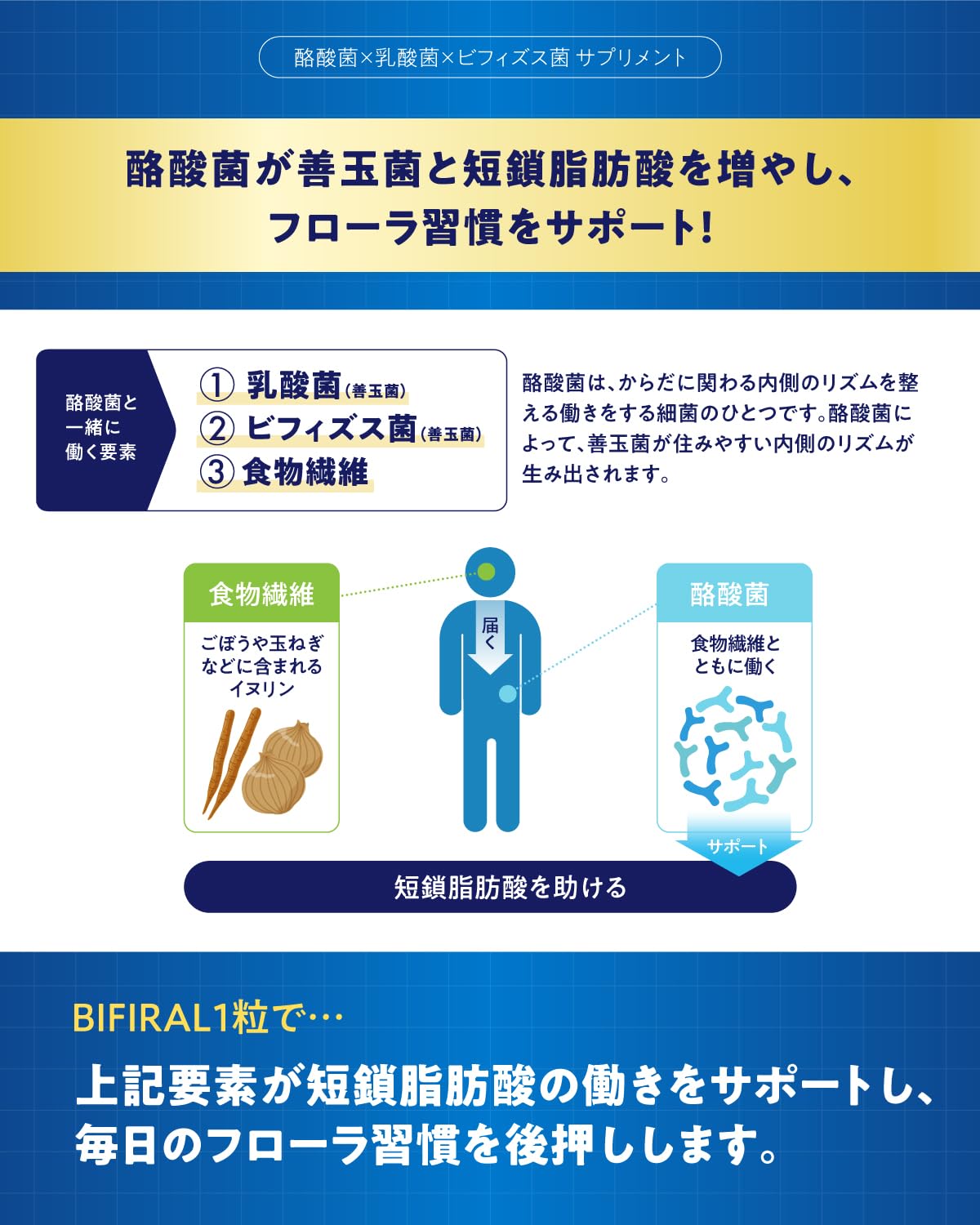 BIFIRAL Live Butyric Acid Bacteria Supplement, 3 billion Butyric Acid Bacteria, 3 Billion Bacteria, 30 Day Supply, Made in Japan, Bacterial Activity, Oligosaccharide, Inulin, Probiotics