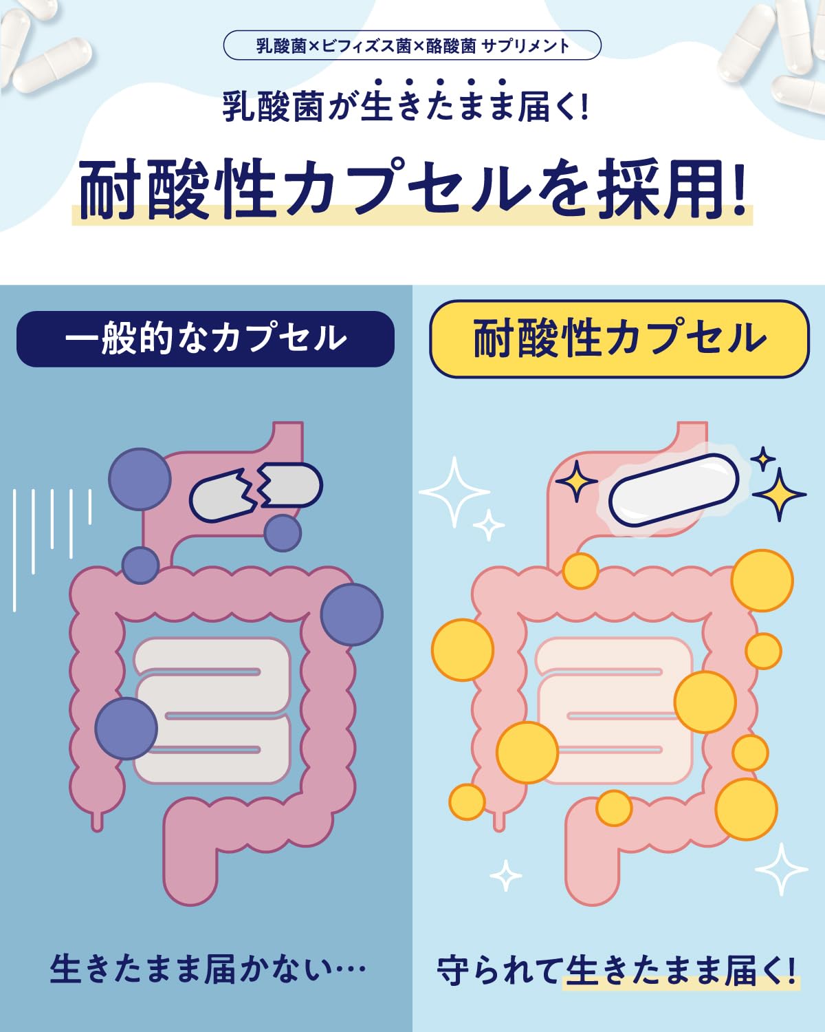 Living Lactobacillus Butyric Acid Bacteria Luxury Formulation, Bifidobacteria, Butyric Acid Supplement, 4.5 Trillion Pieces, 30 Day Supply, Made in Japan, Bacterial Activity, Oligosaccharide, Inulin