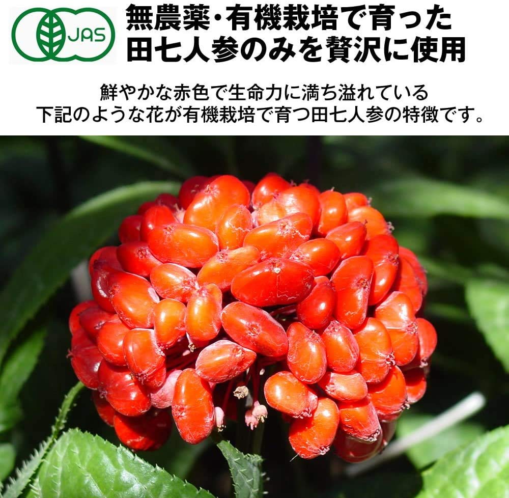 和漢堂 有機 田七人参 サプリメント 有機JAS認証 サポニン サプリ 100%有機田七人参 600粒入 30〜90日分 (1袋)