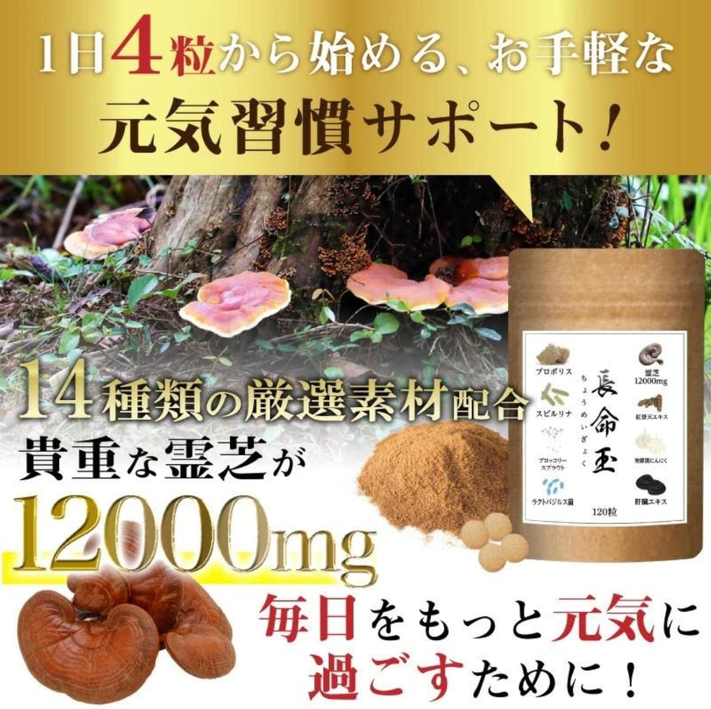 Long Meitama Health Health Health Supplement Reishi Lishi 12,000 mg Natural Spirulina, Propolis, Oyster, Shijimi, Turmeric, Garlic, Spirulina, Broccoli Sprout, Supplement, 120 Tablets, 30 Day Supply