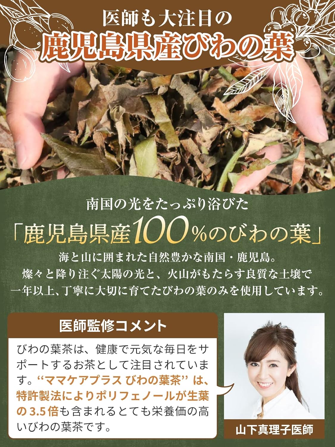 Biwano Leaf Tea, 100% Biwano Leaf Tea, Produced in Kagoshima Prefecture, Healthy, Caffeine-Free, Zero Calories, No Additives, Biwa Tea, Biwa Tea, Ocha (Japanese Language Version)